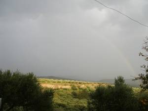 &Tau;&Alpha; &Sigma;&Tau;&Omicron;&Iota;&Chi;&Epsilon;&Iota;&Alpha; &Pi;&Omicron;&Upsilon; &Sigma;&Upsilon;&Nu;&Theta;&Epsilon;&Tau;&Omicron;&Upsilon;&Nu; &Tau;&Omicron; &Tau;&Omicron;&Pi;&Iota;&Omicron; &Sigma;&Tau;&Omicron; &Iota;&Nu;&Iota;