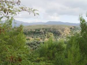 &Theta;έ&sigma;&eta; &tau;&eta;&sigmaf; &alpha;&rho;&chi;&alpha;ί&alpha;&sigmaf; &Pi;ό&lambda;&eta;&sigmaf; &tau;&omega;&nu; &Alpha;&rho;&kappa;ά&delta;&omega;&nu; &ndash;  &Alpha;&nu;&alpha;&sigma;&kappa;&alpha;&phi;&iota;&kappa;ή έ&rho;&epsilon;&upsilon;&nu;&alpha;