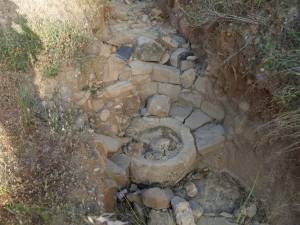 &Epsilon;&iota;&kappa;ό&nu;&alpha; &tau;&eta;&sigmaf; &gamma;&omicron;ύ&rho;&nu;&alpha;&sigmaf; &sigma;&tau;&eta;&nu; &phi;&upsilon;&sigma;&iota;&kappa;ή &tau;&eta;&sigmaf; &theta;έ&sigma;&eta;